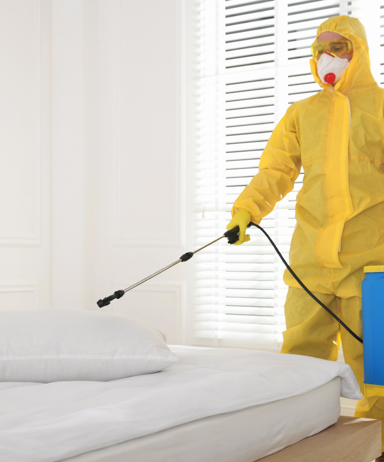 Professional Pest Control Team in Walkerville